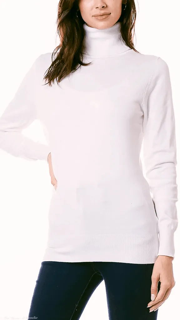 Clarissa Lightweight Long Sleeve Turtleneck Sweater (4 COLORWAYS)