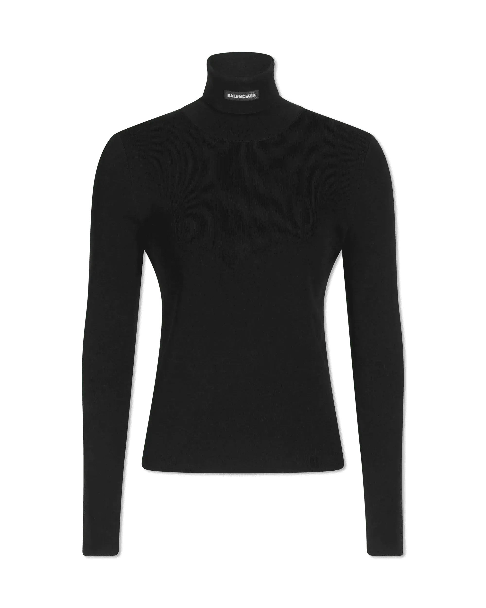 Fitted Viscose Knit Turtleneck Sweater